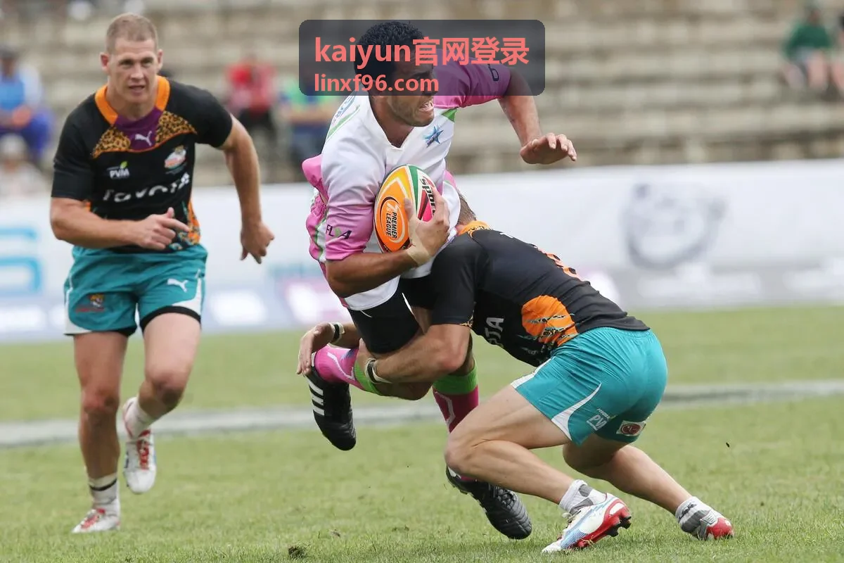 kaiyun官网登录账号开通与申请指引